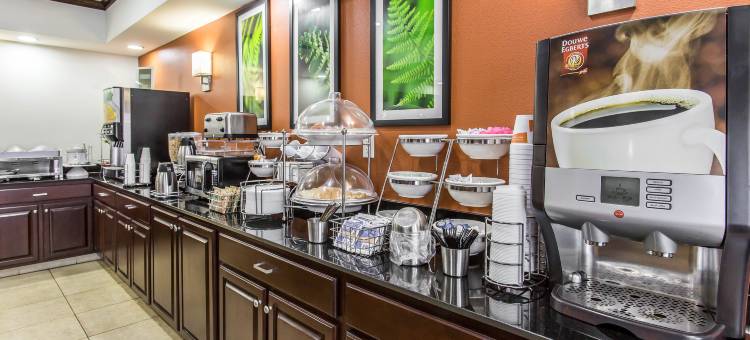 拉伯克舒眠套房酒店(Sleep Inn & Suites)图片