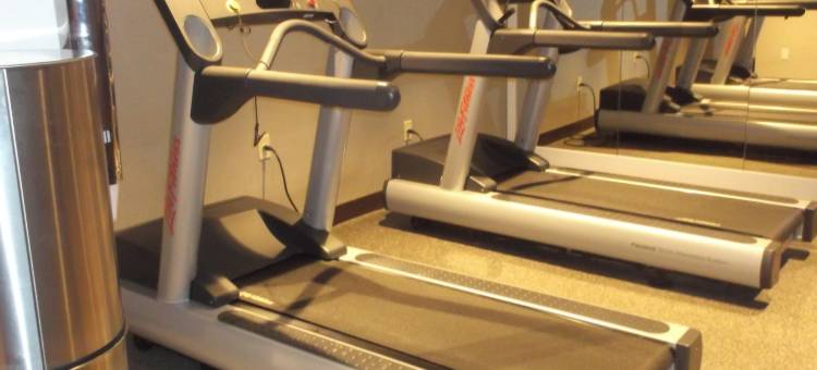 纽约时代广场假日酒店(Holiday Inn New York City - Times Square)图片