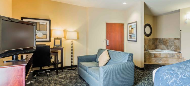 佩尔城靠近洛根马丁湖的康福特套房(Comfort Suites Pell City Near Logan Martin Lake)图片