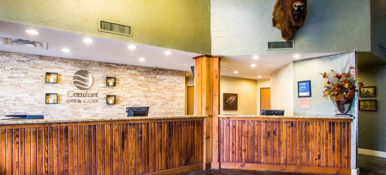 Comfort Inn & Suites Chillicothe图片