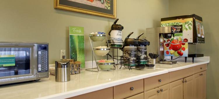 珍珠 - 杰克逊凯艺套房酒店(Quality Inn & Suites Pearl-Jackson)图片