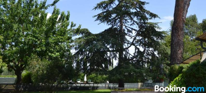 菲尔齐安诺住宿加早餐旅馆(Relais Felciaino B&B)图片