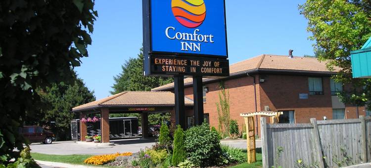 舒适酒店(Comfort Inn)图片