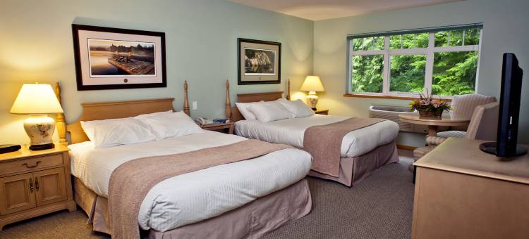 图芬诺泽德酒店(Hotel Zed Tofino)图片