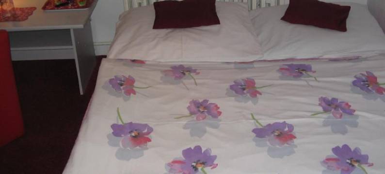 扎沃斯基酒店(Penzion Zavodsky)图片