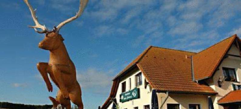 克莱恩福斯特雷旅馆(Ferienwohnung im Nationalpark Jasmund)图片