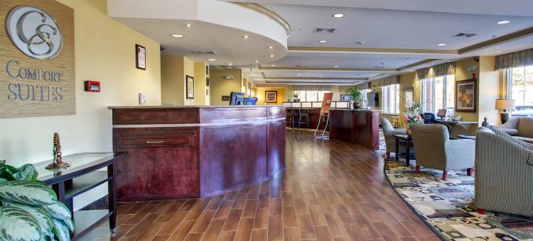 拜洛希海洋温泉舒适套房酒店(Comfort Suites Biloxi/Ocean Springs)图片