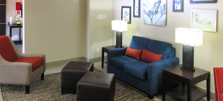 达拉斯中心公园舒适酒店(Comfort Inn Dallas Park Central)图片