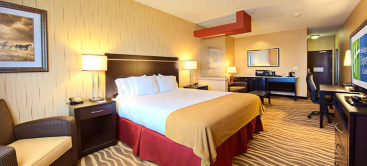 智选假日酒店及套房科图拉 by IHG(Holiday Inn Express & Suites Cotulla by IHG)图片