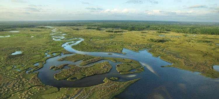 劳德代尔堡科勒尔斯普林斯万怡酒店(Courtyard Fort Lauderdale Coral Springs)图片