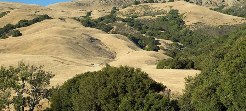 弗里蒙特硅谷万怡酒店(Courtyard Fremont Silicon Valley)图片