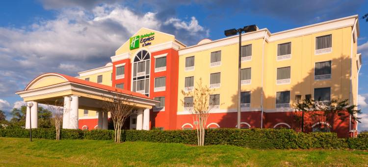 智选假日套房酒店坦帕展览会场娱乐场by IHG(Holiday Inn Express & Suites Tampa-Fairgrounds-Casino)图片