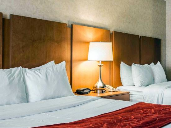 Comfort Suites Hanes Mall Hotel Reviews And Room Rates Trip Com