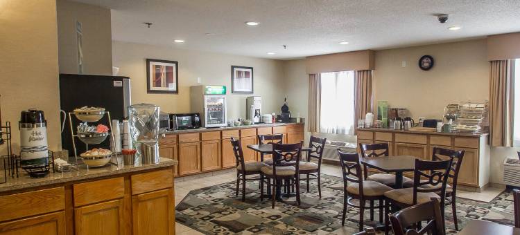 凯艺套房酒店(Quality Inn & Suites)图片