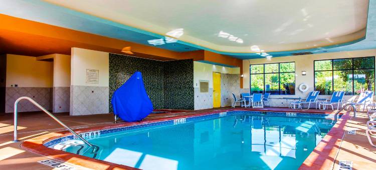 亚特兰大南斯托克布里奇舒适套房酒店(Comfort Suites Stockbridge Atlanta South)图片