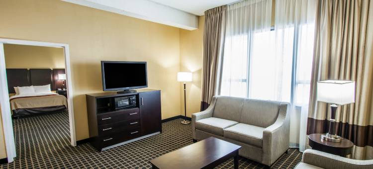 迈阿密国际机场克拉丽奥酒店及套房(Clarion Inn & Suites Miami International Airport)图片