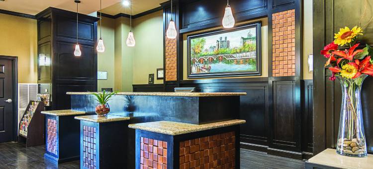 芒特普莱森特拉昆塔温德姆套房酒店(La Quinta Inn & Suites by Wyndham Mt. Pleasant)图片