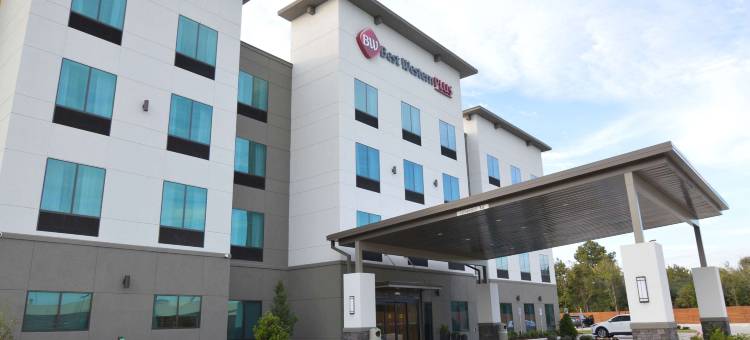 休斯顿 I-45 北 - IAH 舒适套房酒店(Comfort Inn & Suites Houston I-45 North - IAH)图片