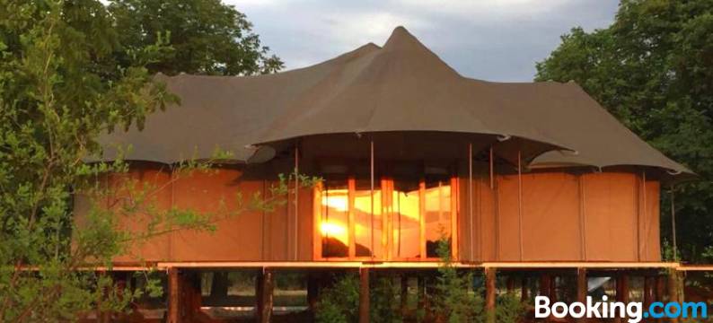 Chikunto Safari Lodge图片