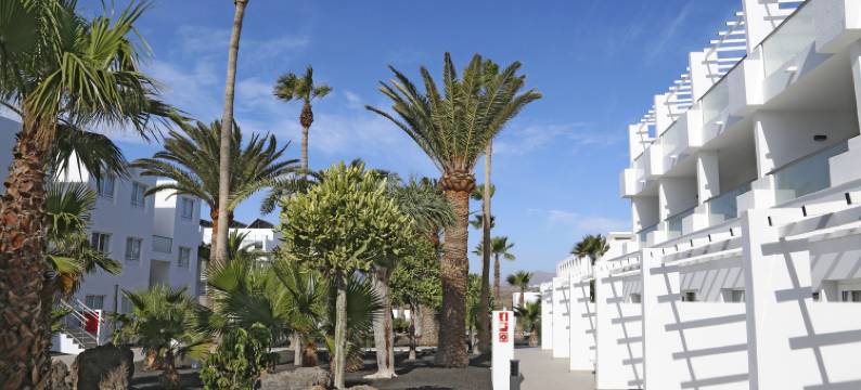 兰萨罗特水母套房(Aequora Lanzarote Suites)图片