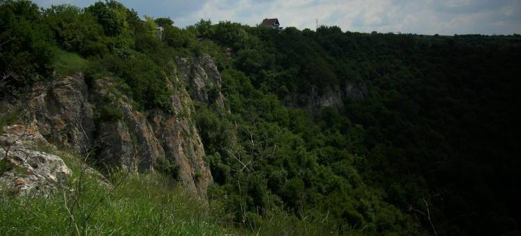 Къща под наем Petrova图片