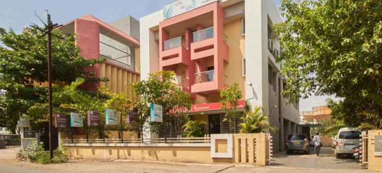 Hotel the Leaf图片