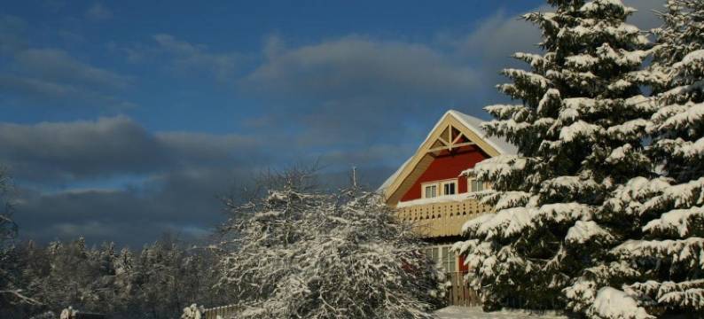 North Lakeside Villa Plateliai图片