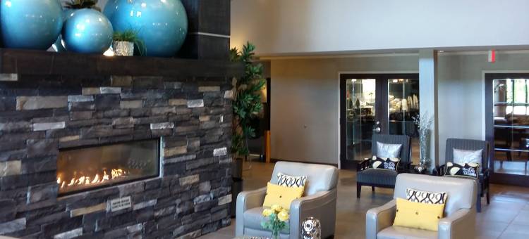 舒适套房酒店(Comfort Suites)图片