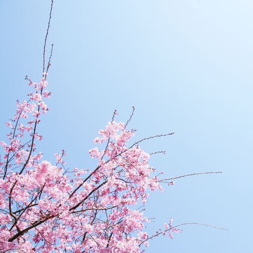 Tsukubasan Onsen Tsukubasanhotel Aokiya Hotel Rates And - 