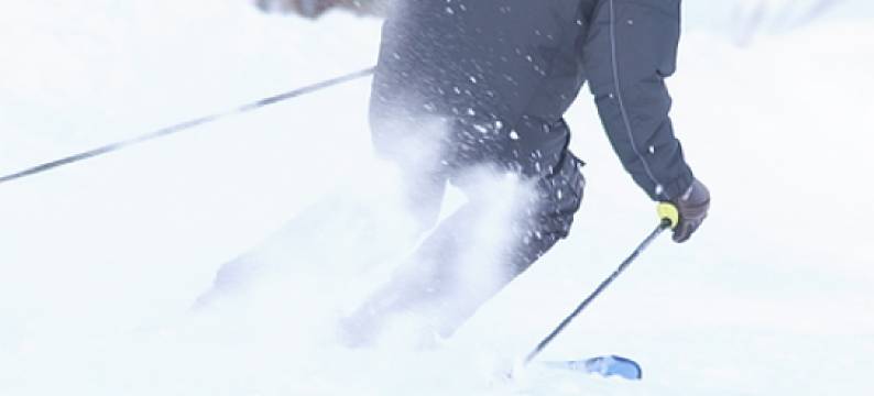 一田屋旅馆(Ichidaya Ryokan)图片