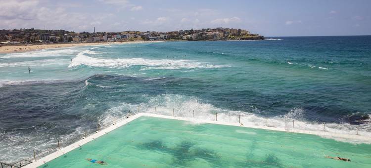 悉尼邦迪枢纽假日酒店及套房 by IHG(Holiday Inn & Suites Sydney Bondi Junction by IHG)图片