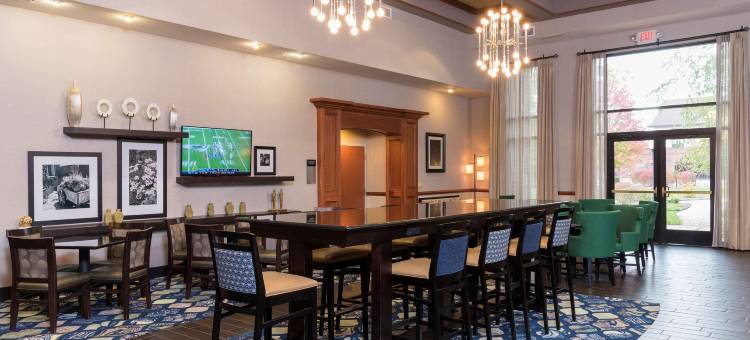 兰辛东欢朋酒店及套房(Hampton Inn & Suites East Lansing/Okemos)图片