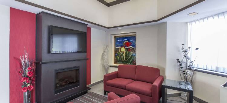 舒适酒店(Comfort Inn)图片