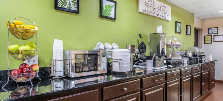 亚特兰大桃树市舒眠酒店(Sleep Inn Peachtree City - Atlanta)图片