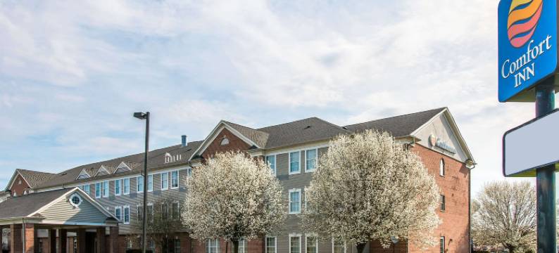 切尔西舒适酒店(Comfort Inn)图片