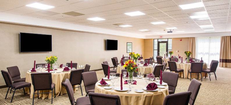 舒适套房酒店(Comfort Suites Greenville South)图片