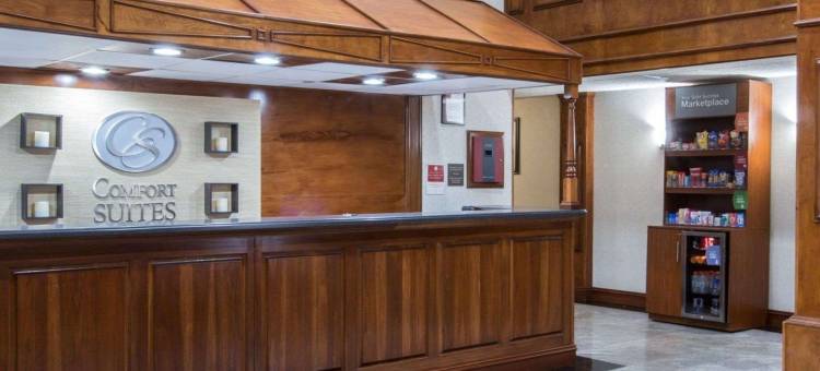 卡明舒适套房酒店 - 亚特兰大近福赛思北区医院(Comfort Suites Cumming-Atlanta Near Northside Hospital Forsyth)图片