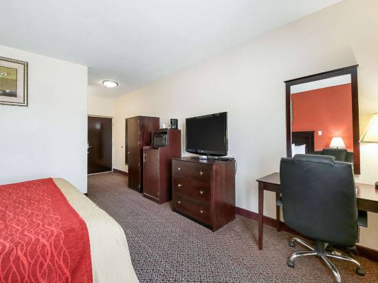 Quality Inn Kingsville Hwy 77 Hotel Reviews And Room Rates Trip Com