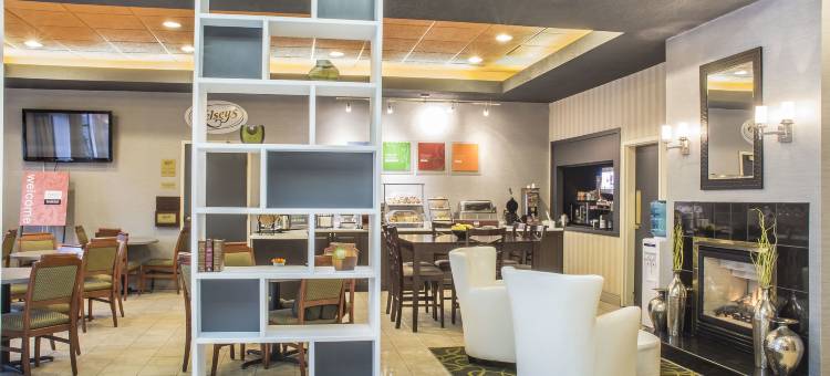舒适套房酒店(Comfort Hotel & Suites)图片