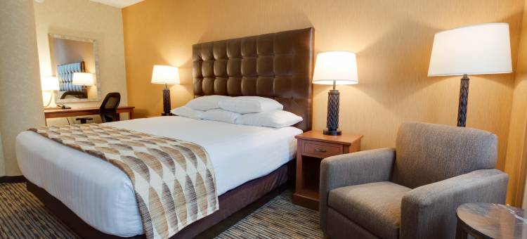 圣路易斯拱门德鲁里广场酒店(Drury Plaza St. Louis at the Arch)图片