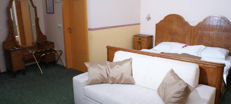 普图伊公园酒店(Park Hotel Ptuj)图片