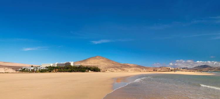富埃特文图拉岛美利亚酒店(INNSiDE by Meliá Fuerteventura - Adults only)图片