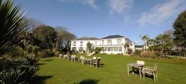 罗斯瓦因酒店(The Rosevine)图片