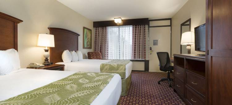 罗森国际酒店(Rosen Inn International Near the Parks)图片