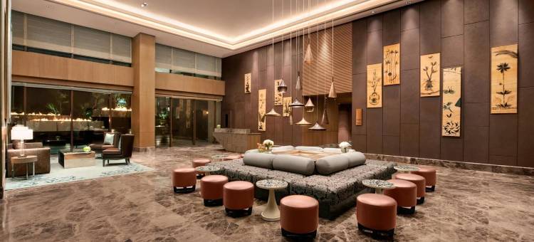 新德里利拉格调会议酒店(The Leela Ambience Convention Hotel Delhi)图片