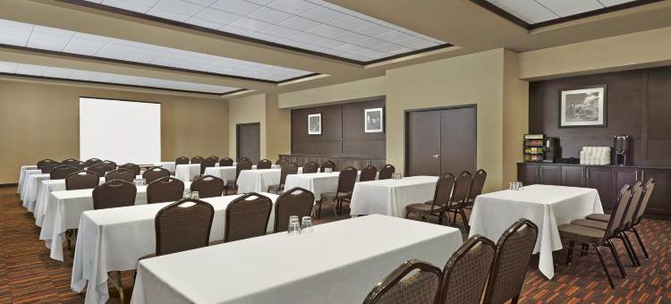 福朋喜来登酒店-埃德蒙顿国际机场(Four Points by Sheraton Edmonton International Airport)图片