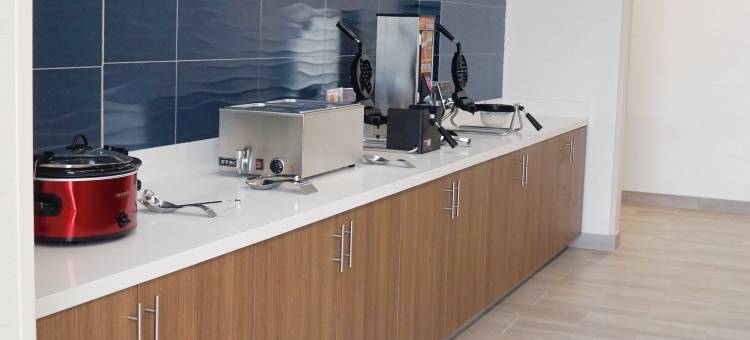 达拉斯邓肯维尔拉昆塔温德姆套房酒店(La Quinta Inn & Suites by Wyndham Dallas Duncanville)图片