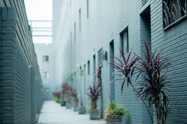 Green Mu Hotel Overview