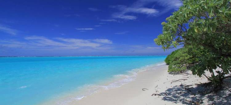 马尔代夫托多轻松旅馆(Relax Residence Thoddoo Maldives)图片