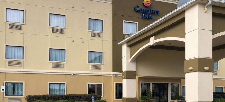 厄尔利布朗伍德舒适酒店(Comfort Inn Early Brownwood)图片